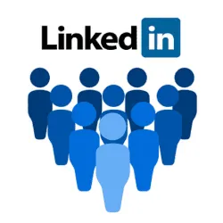 Learn How To Run A Successful LinkedIn Business Campaign