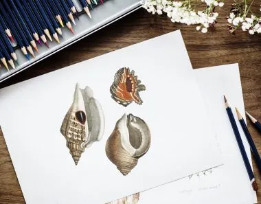 Improve Your LinkedIn Business Profile For A More Professional Image