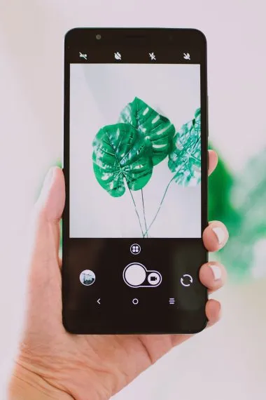 Instagram Combats Apps That Sell Followers and Likes