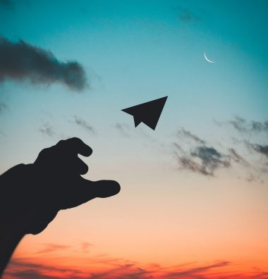 Why You Should Avoid Limiting Your Business to a Niche