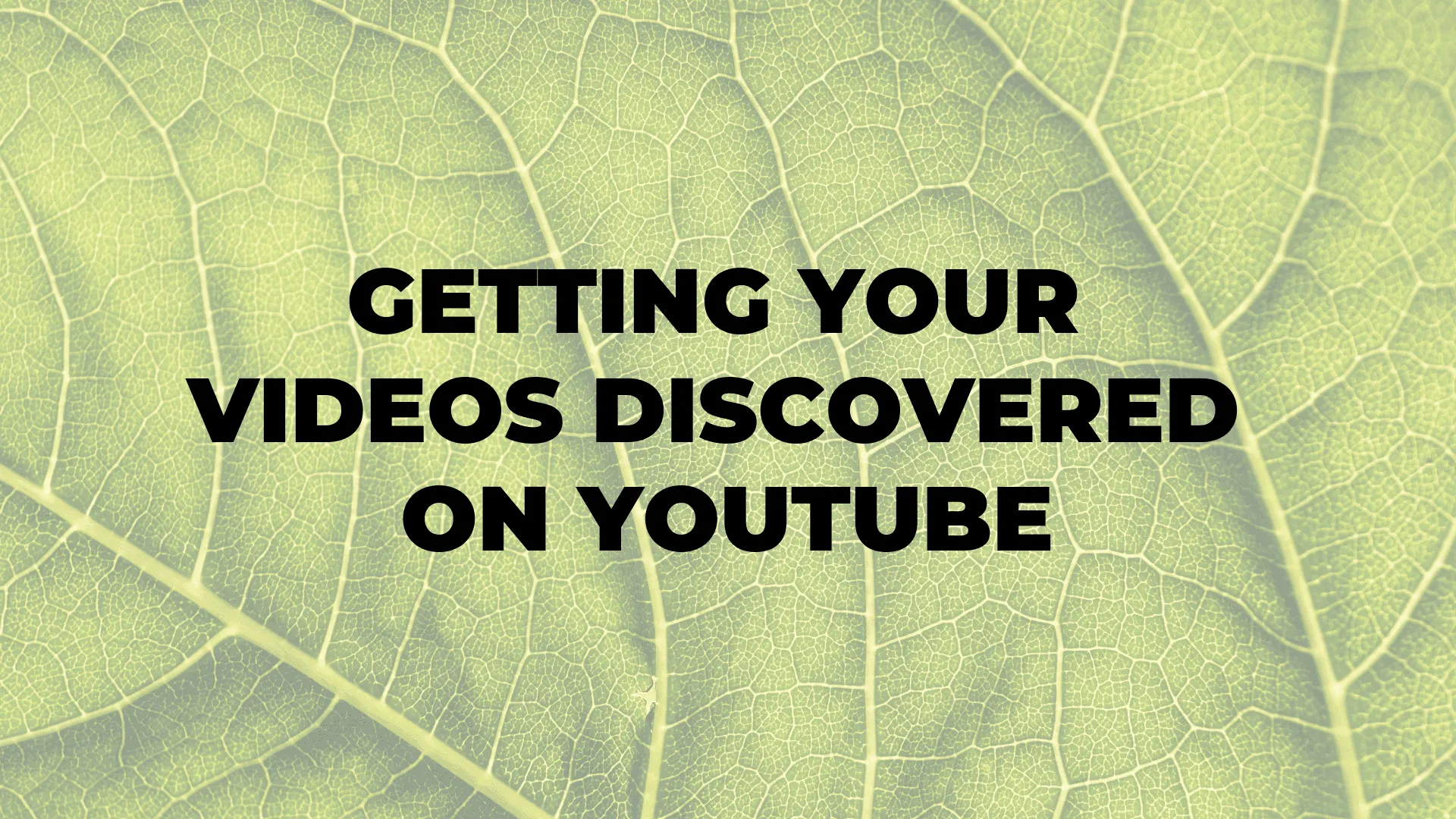 Getting Your Videos Discovered on YouTube|Getting Your Videos Discovered on YouTube|Getting Your Videos Discovered on YouTube|Getting Your Videos Discovered on YouTube