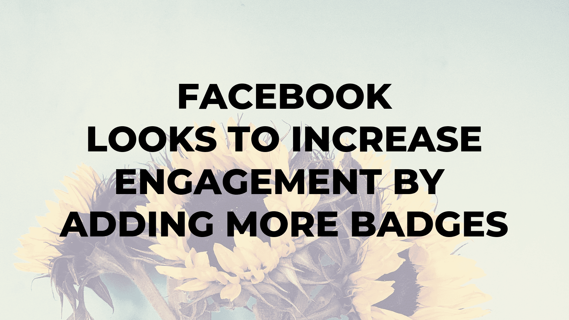 Facebook Looks to Increase Engagement by Adding More Badges|Facebook Looks to Increase Engagement by Adding More Badges|Facebook Looks to Increase Engagement by Adding More Badges|Facebook Looks to Increase Engagement by Adding More Badges