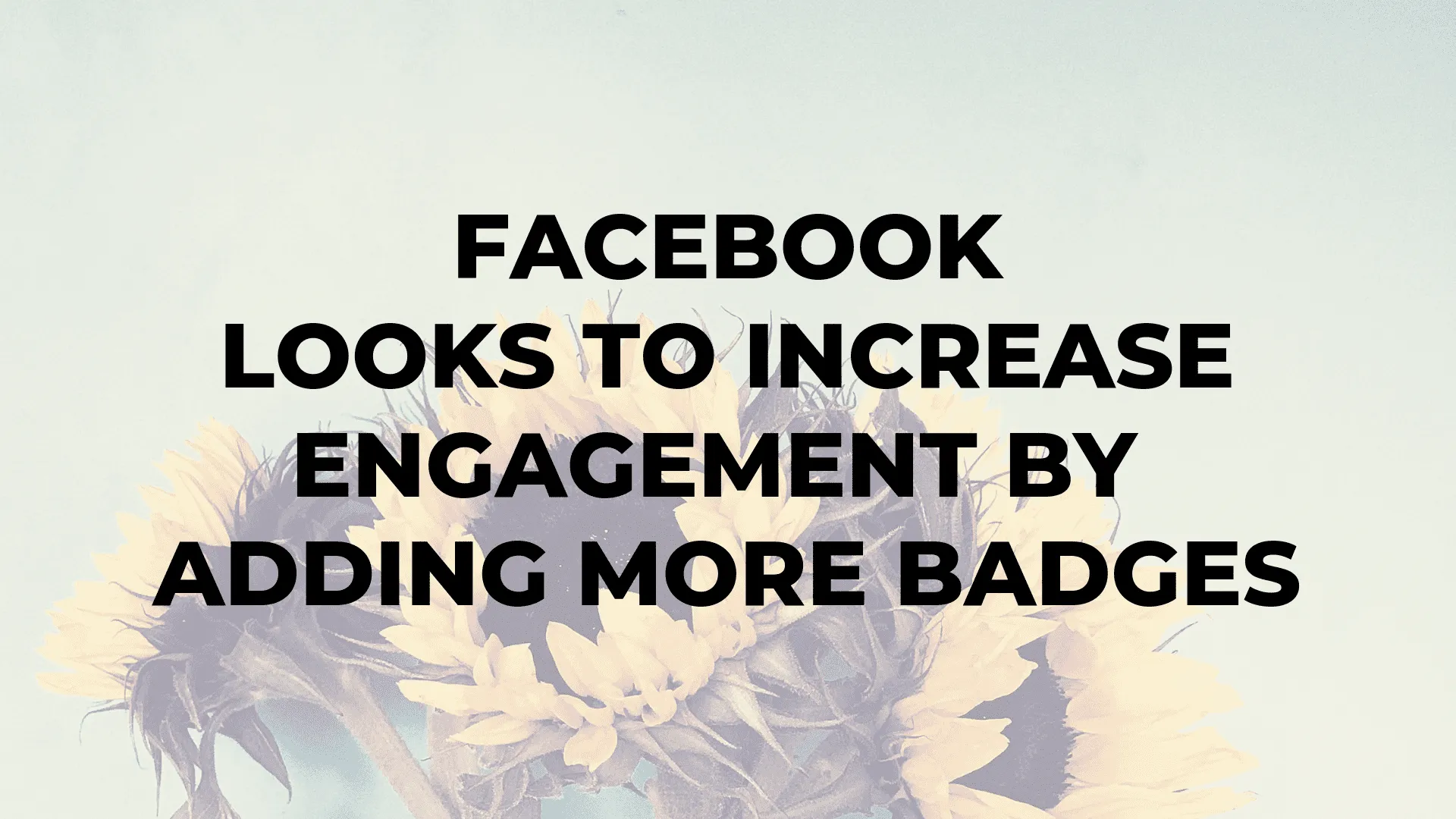 Facebook Looks to Increase Engagement by Adding More Badges|Facebook Looks to Increase Engagement by Adding More Badges|Facebook Looks to Increase Engagement by Adding More Badges|Facebook Looks to Increase Engagement by Adding More Badges