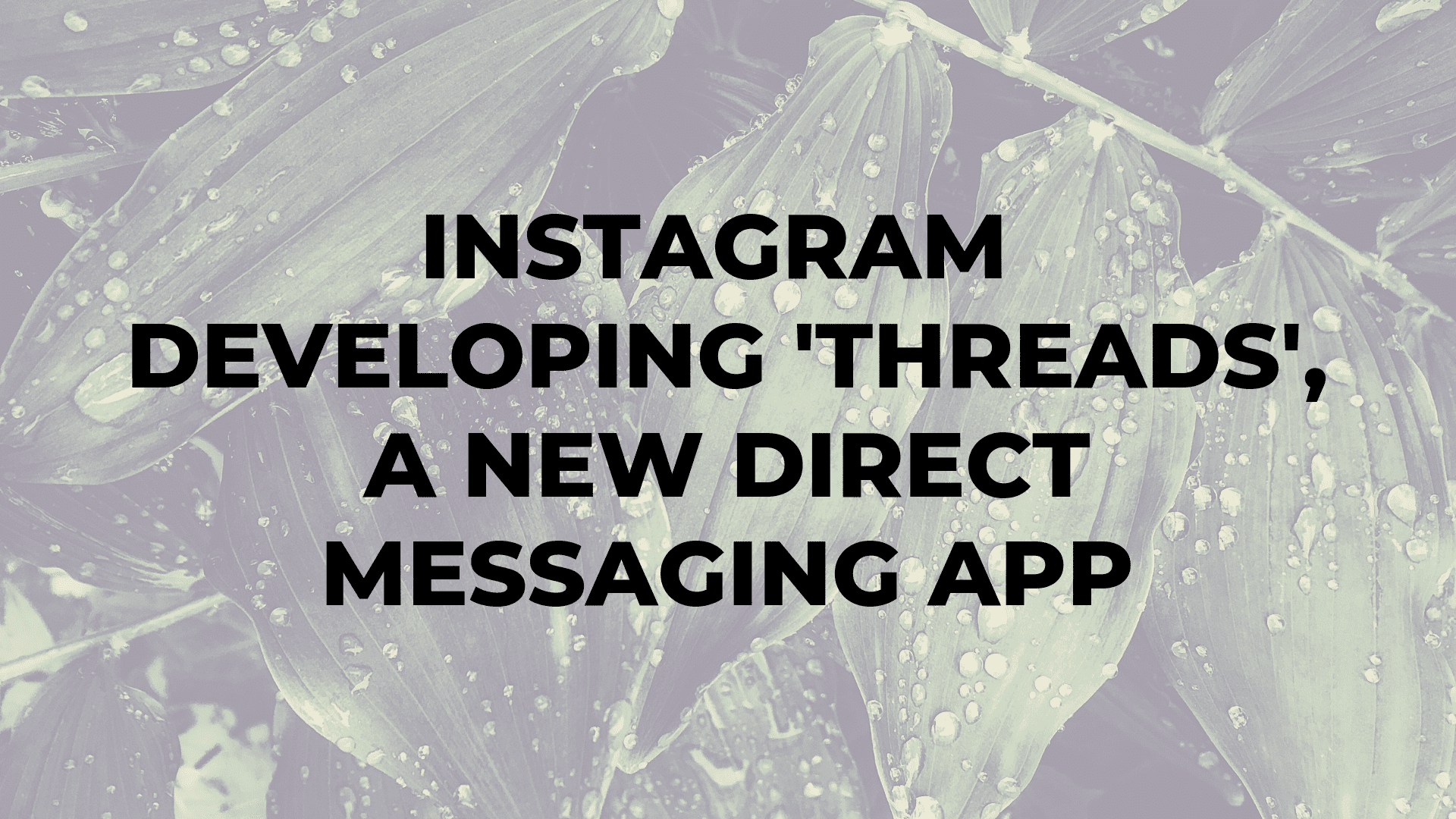 Instagram Developing 'Threads', a New Direct Messaging App|Instagram Developing 'Threads', a New Direct Messaging App|Instagram Developing 'Threads', a New Direct Messaging App|Instagram Developing 'Threads', a New Direct Messaging App
