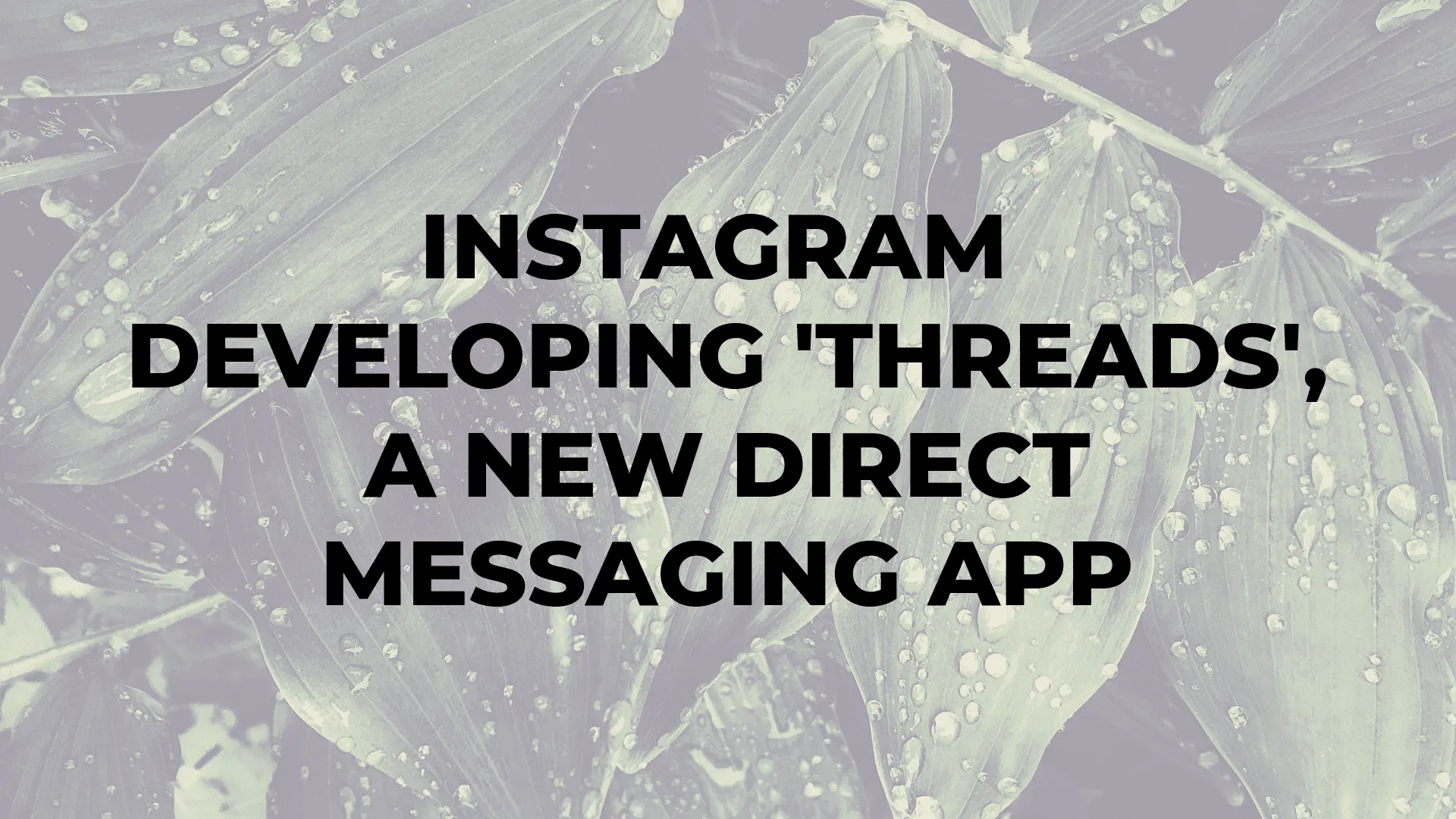Instagram Developing 'Threads', a New Direct Messaging App|Instagram Developing 'Threads', a New Direct Messaging App|Instagram Developing 'Threads', a New Direct Messaging App|Instagram Developing 'Threads', a New Direct Messaging App