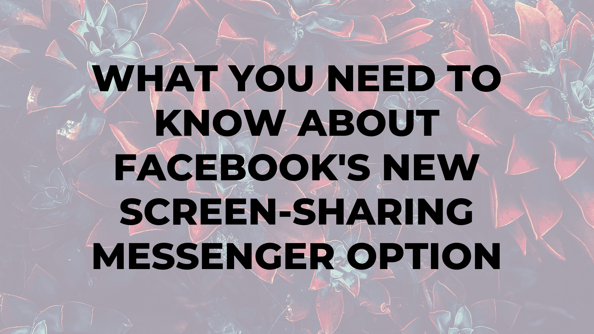 What You Need to Know About Facebook's New Screen-Sharing Messenger Option|What You Need to Know About Facebook's New Screen-Sharing Messenger Option|What You Need to Know About Facebook's New Screen-Sharing Messenger Option|What You Need to Know About Facebook's New Screen-Sharing Messenger Option