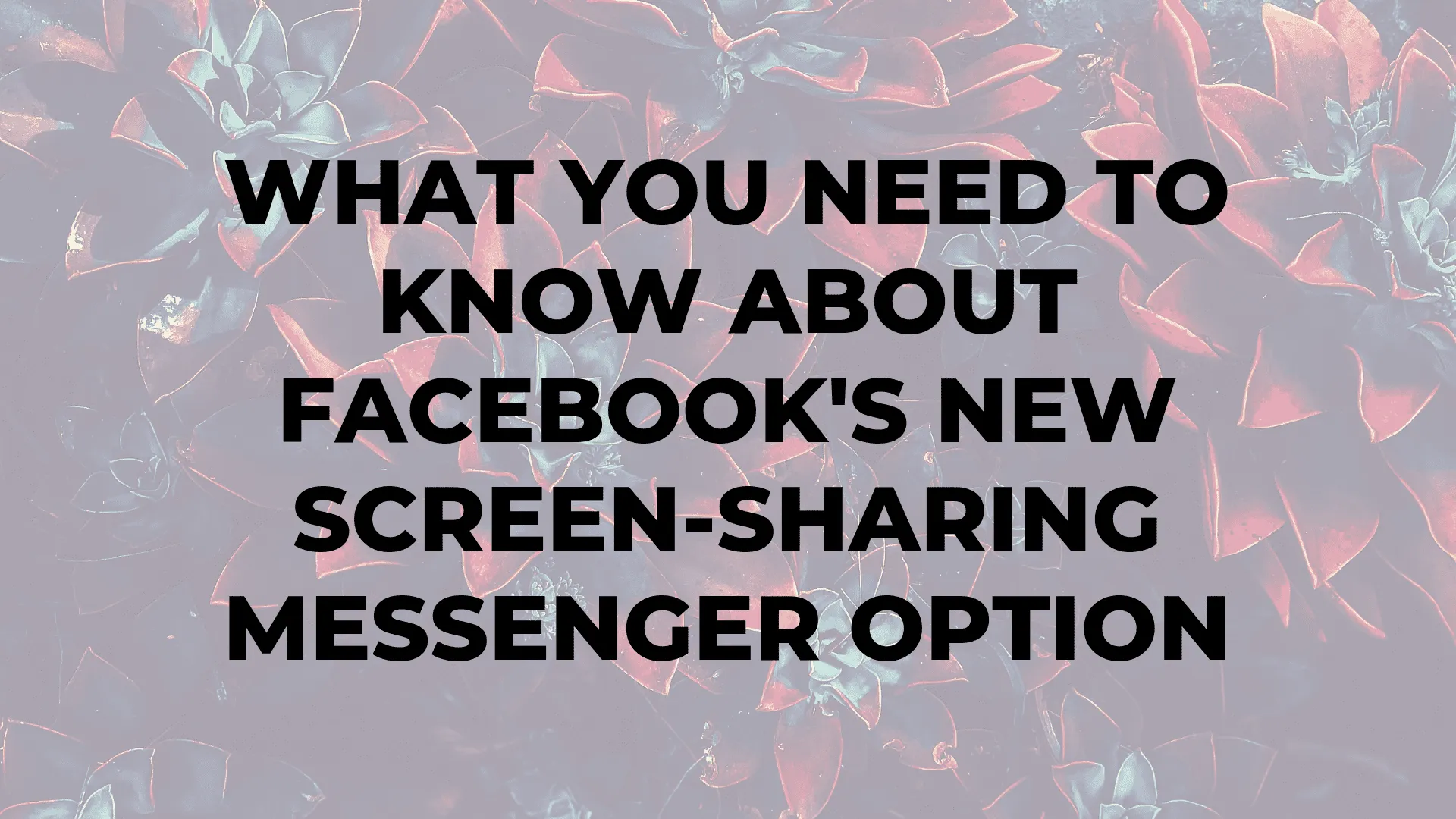 What You Need to Know About Facebook's New Screen-Sharing Messenger Option|What You Need to Know About Facebook's New Screen-Sharing Messenger Option|What You Need to Know About Facebook's New Screen-Sharing Messenger Option|What You Need to Know About Facebook's New Screen-Sharing Messenger Option