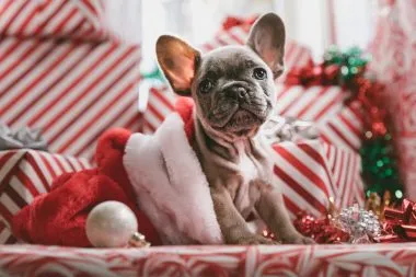 Why You Should Begin Planning Your Christmas Social Campaigns Now 