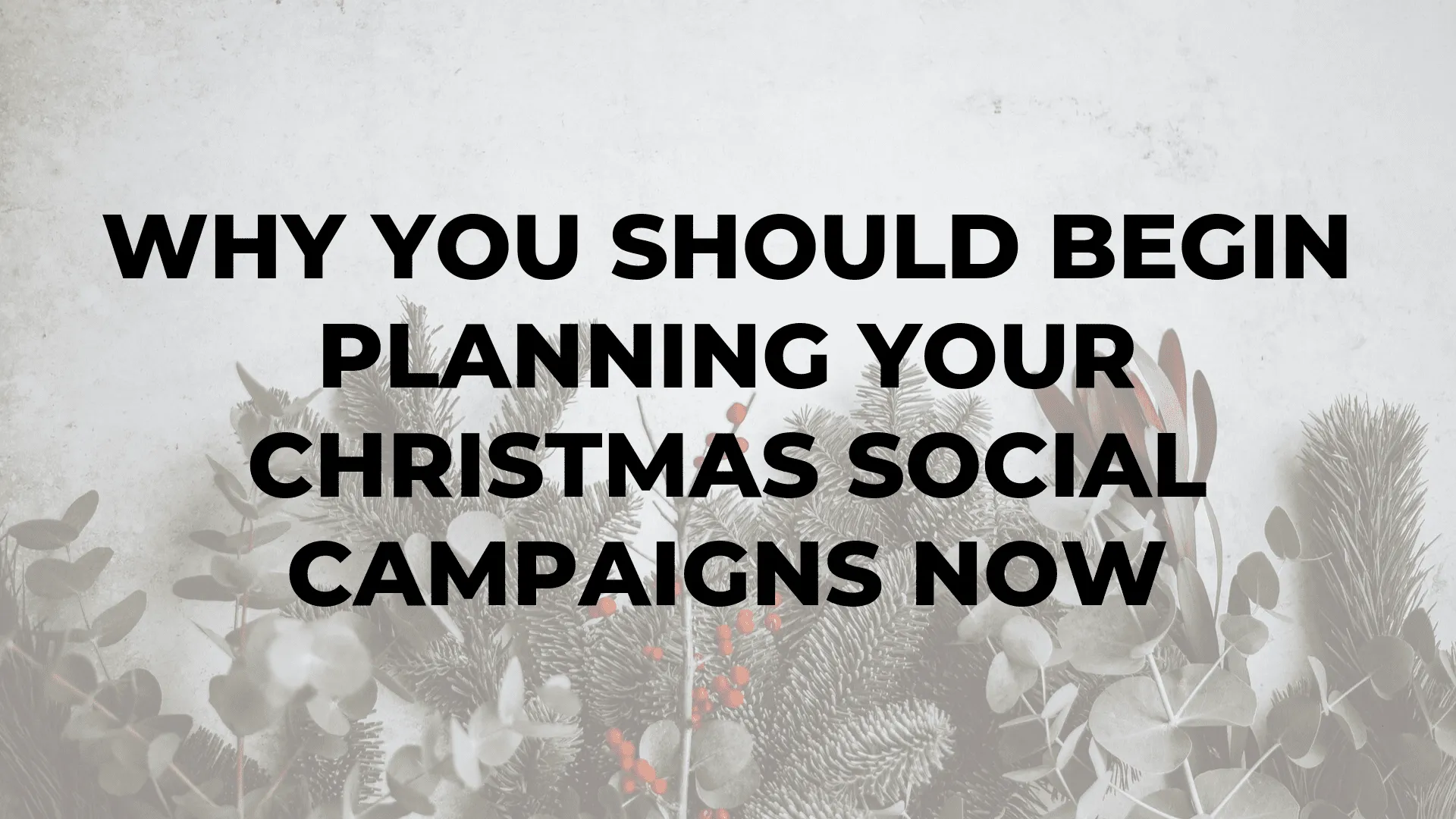 Why You Should Begin Planning Your Christmas Social Campaigns Now |Why You Should Begin Planning Your Christmas Social Campaigns Now |Why You Should Begin Planning Your Christmas Social Campaigns Now |Why You Should Begin Planning Your Christmas Social Campaigns Now