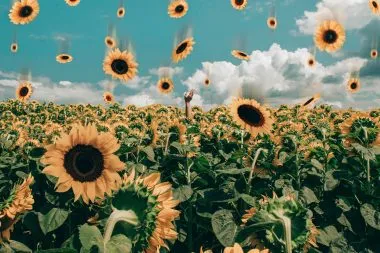 How to Build Your Brand With Social Media