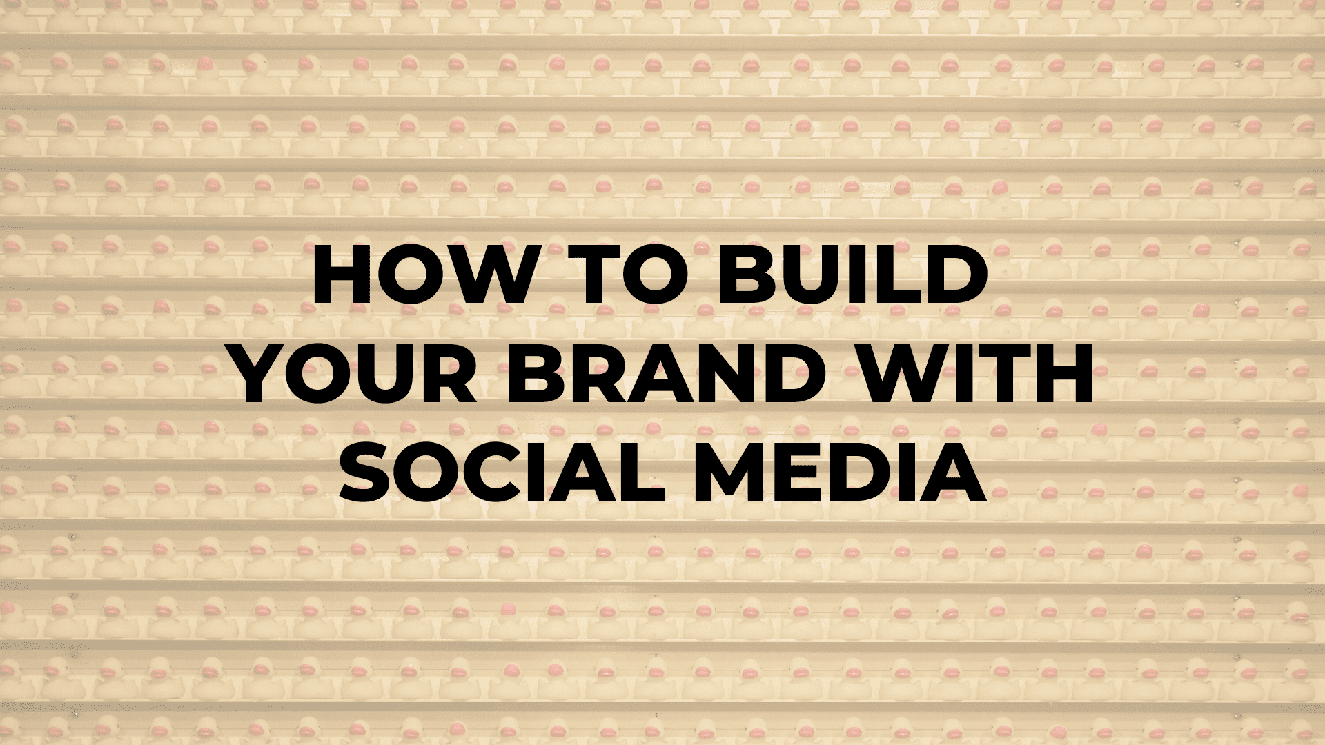 How to Build Your Brand With Social Media|How to Build Your Brand With Social Media|How to Build Your Brand With Social Media|How to Build Your Brand With Social Media