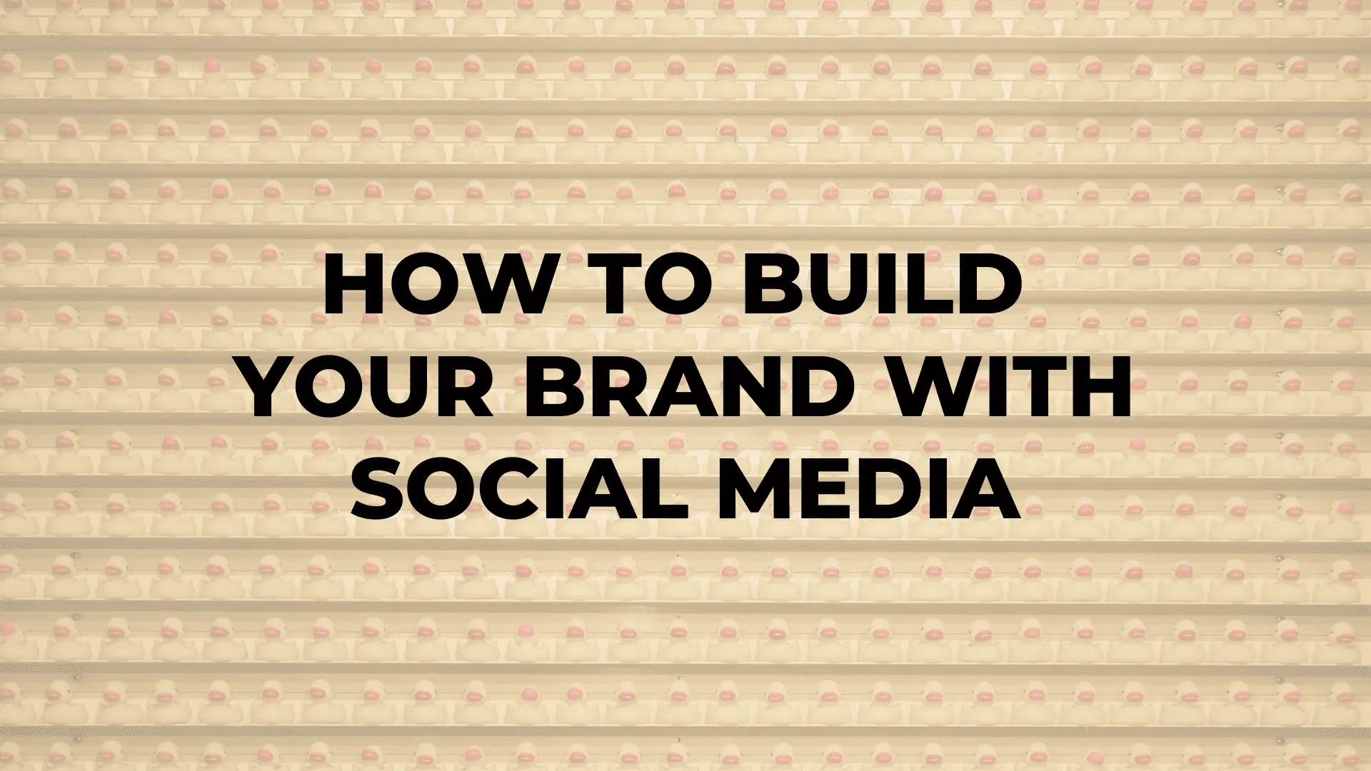 How to Build Your Brand With Social Media|How to Build Your Brand With Social Media|How to Build Your Brand With Social Media|How to Build Your Brand With Social Media