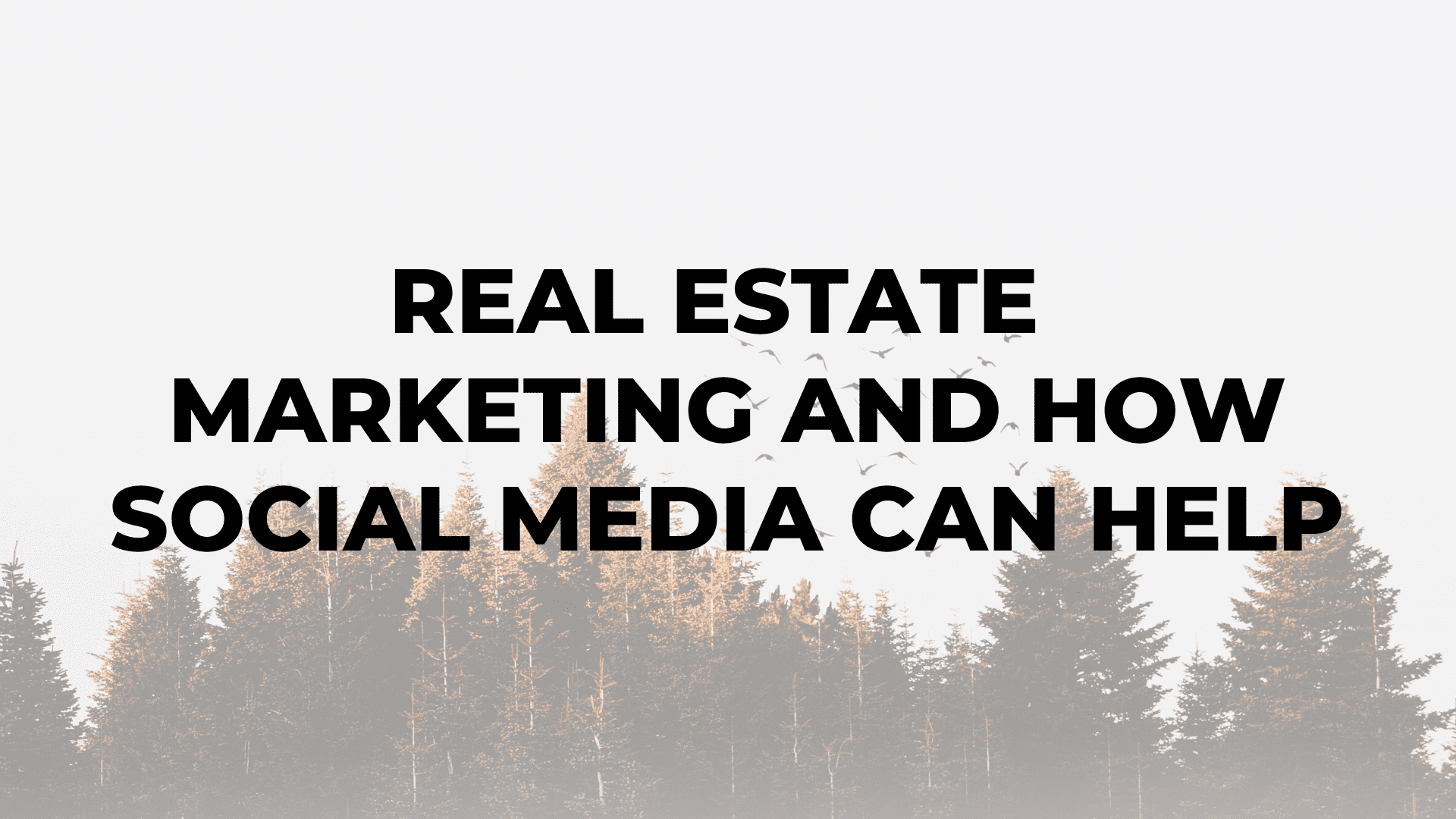 Real Estate Marketing and How Social Media Can Help