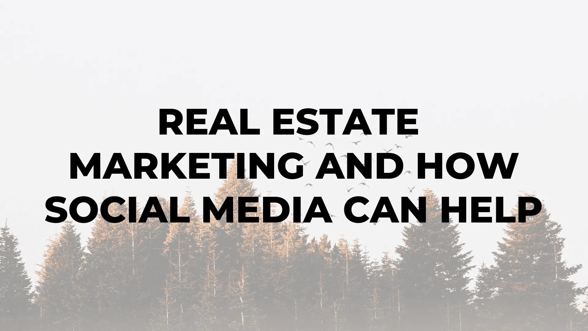 Real Estate Marketing and How Social Media Can Help|Real Estate Marketing and How Social Media Can Help|Real Estate Marketing and How Social Media Can Help|Real Estate Marketing and How Social Media Can Help