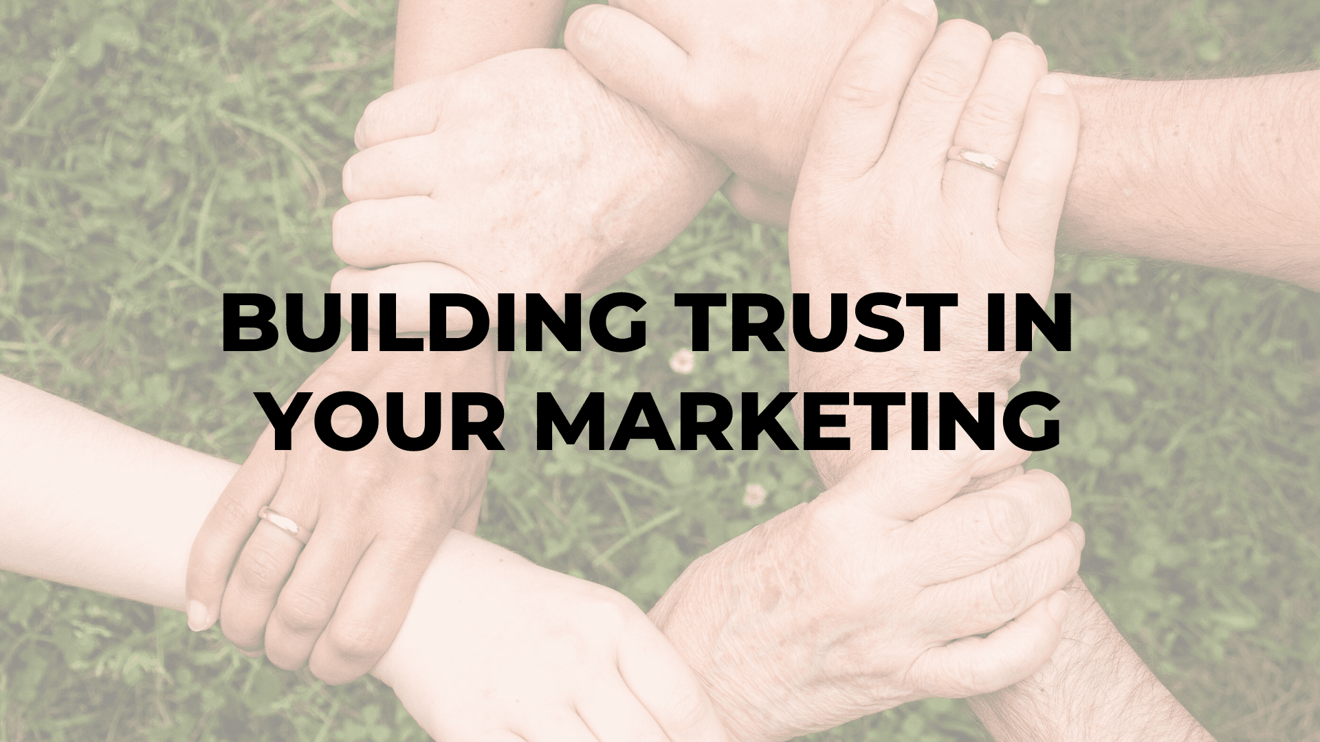 Building Trust in Your Marketing|Building Trust in Your Marketing|Building Trust in Your Marketing|Building Trust in Your Marketing