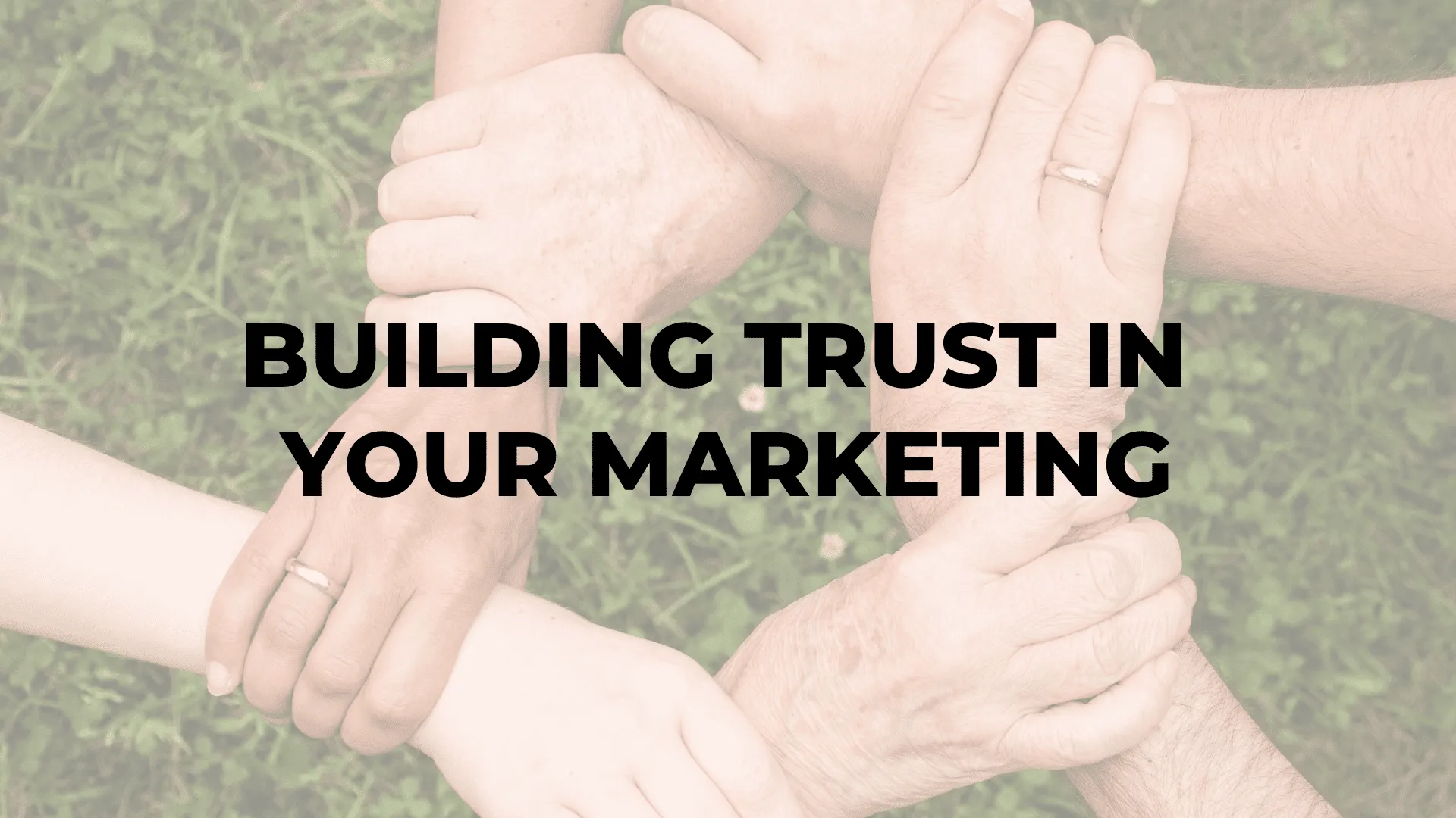 Building Trust in Your Marketing|Building Trust in Your Marketing|Building Trust in Your Marketing|Building Trust in Your Marketing
