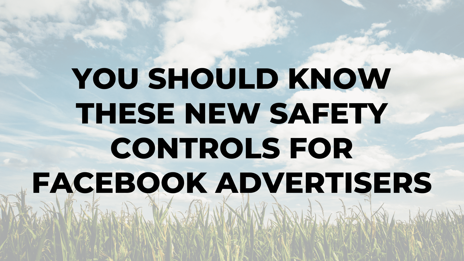 You Should Know These New Safety Controls for Facebook Advertisers|You Should Know These New Safety Controls for Facebook Advertisers|You Should Know These New Safety Controls for Facebook Advertisers|You Should Know These New Safety Controls for Facebook Advertisers