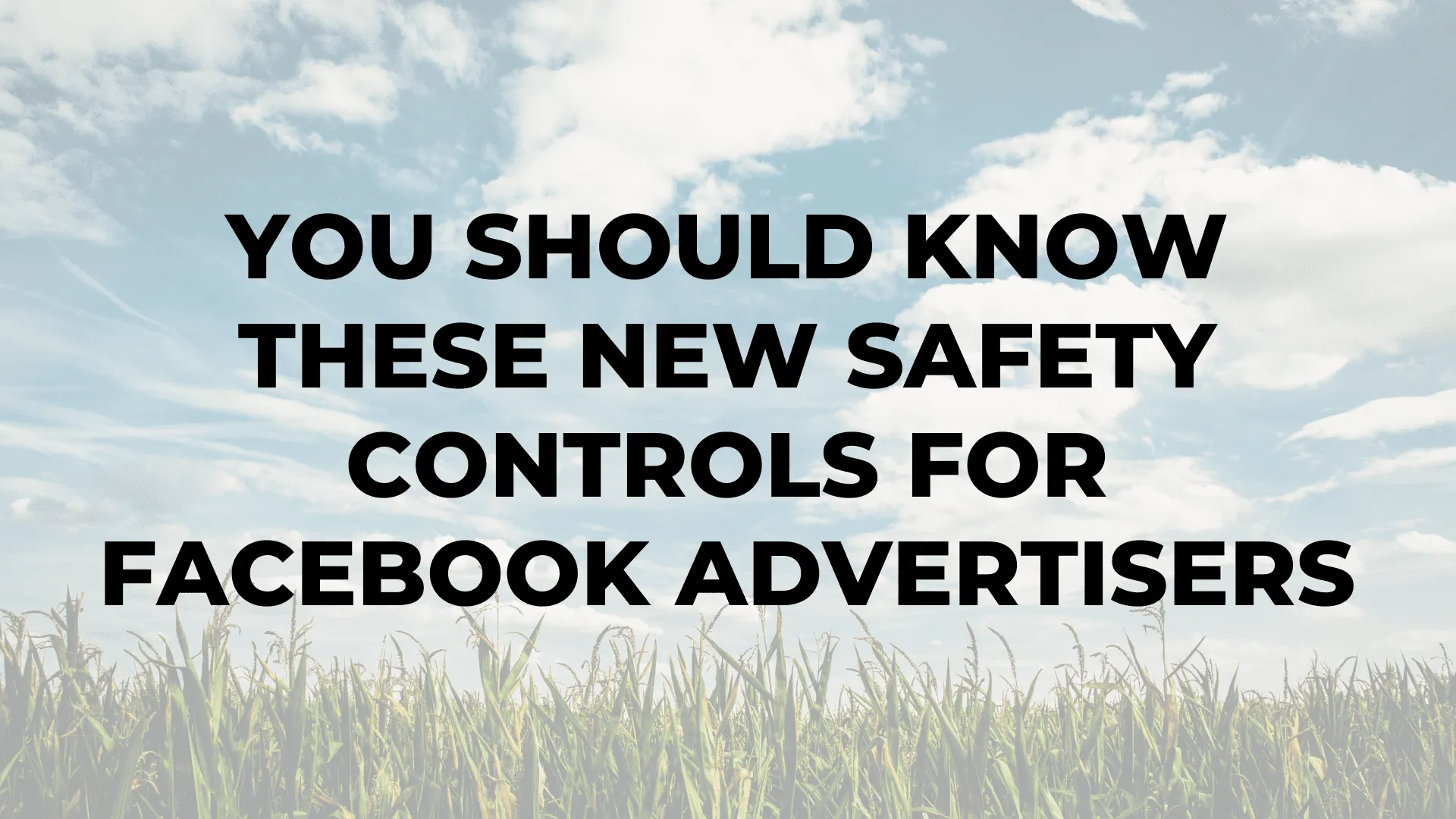 You Should Know These New Safety Controls for Facebook Advertisers|You Should Know These New Safety Controls for Facebook Advertisers|You Should Know These New Safety Controls for Facebook Advertisers|You Should Know These New Safety Controls for Facebook Advertisers