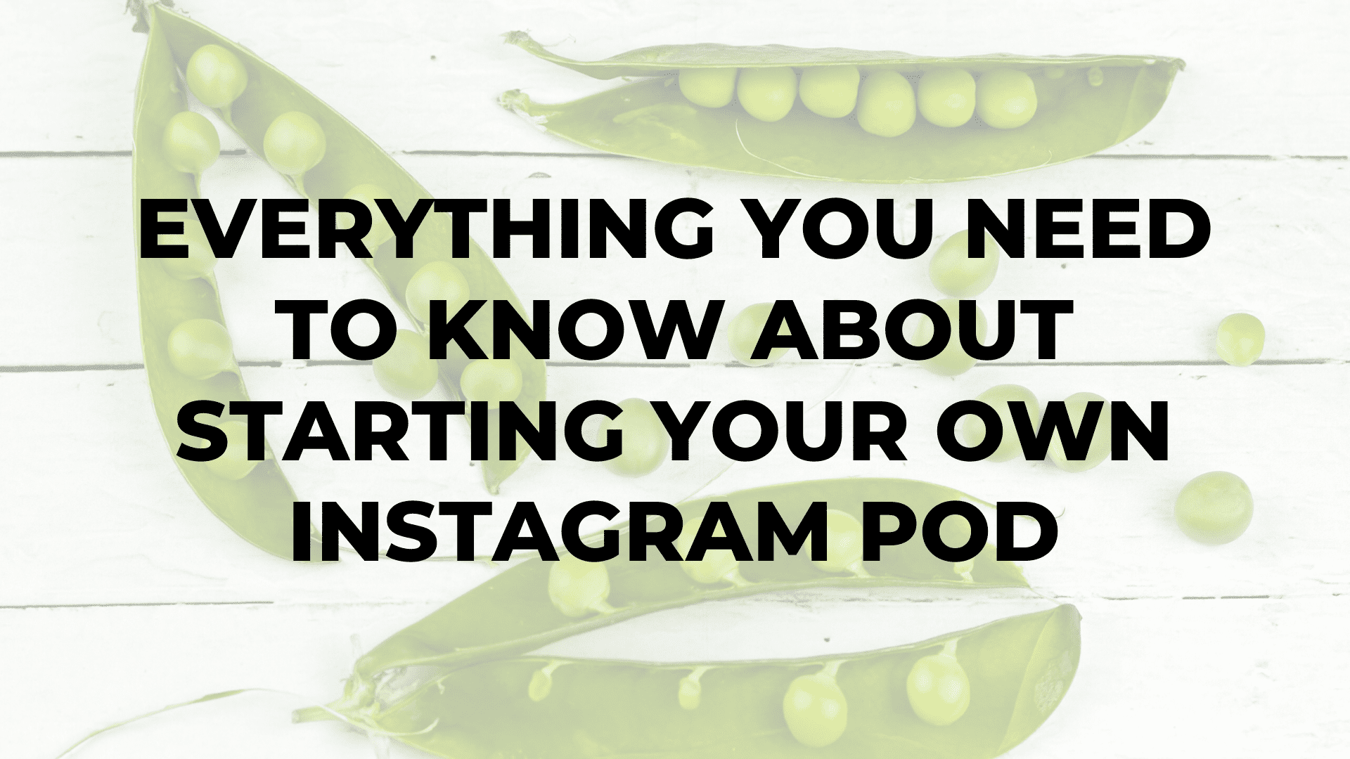 Everything You Need to Know About Starting Your Own Instagram Pod|Everything You Need to Know About Starting Your Own Instagram Pod|Everything You Need to Know About Starting Your Own Instagram Pod|Everything You Need to Know About Starting Your Own Instagram Pod