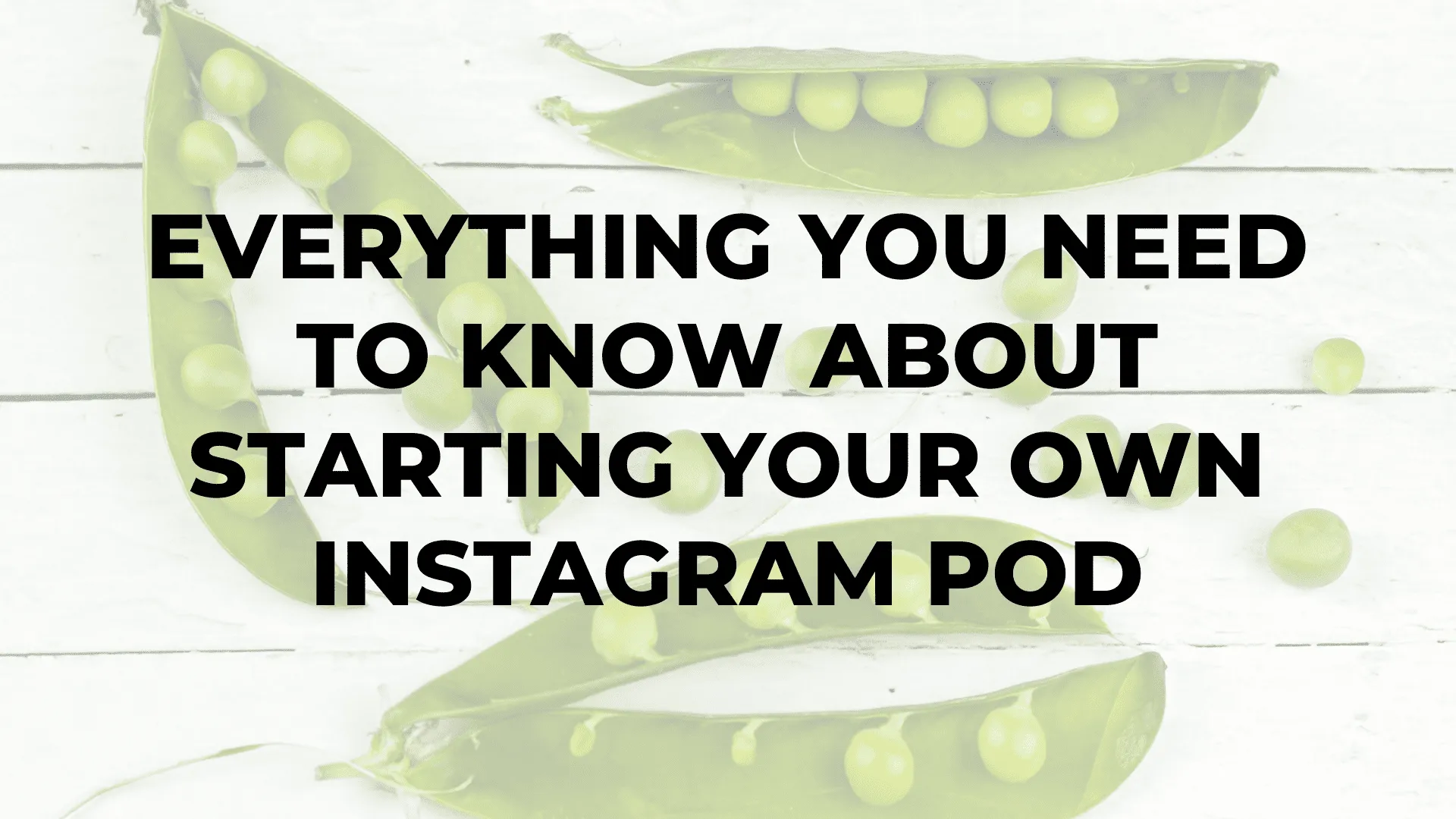 Everything You Need to Know About Starting Your Own Instagram Pod|Everything You Need to Know About Starting Your Own Instagram Pod|Everything You Need to Know About Starting Your Own Instagram Pod|Everything You Need to Know About Starting Your Own Instagram Pod