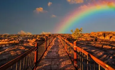 Getting More Instagram Leads for Your Small Business