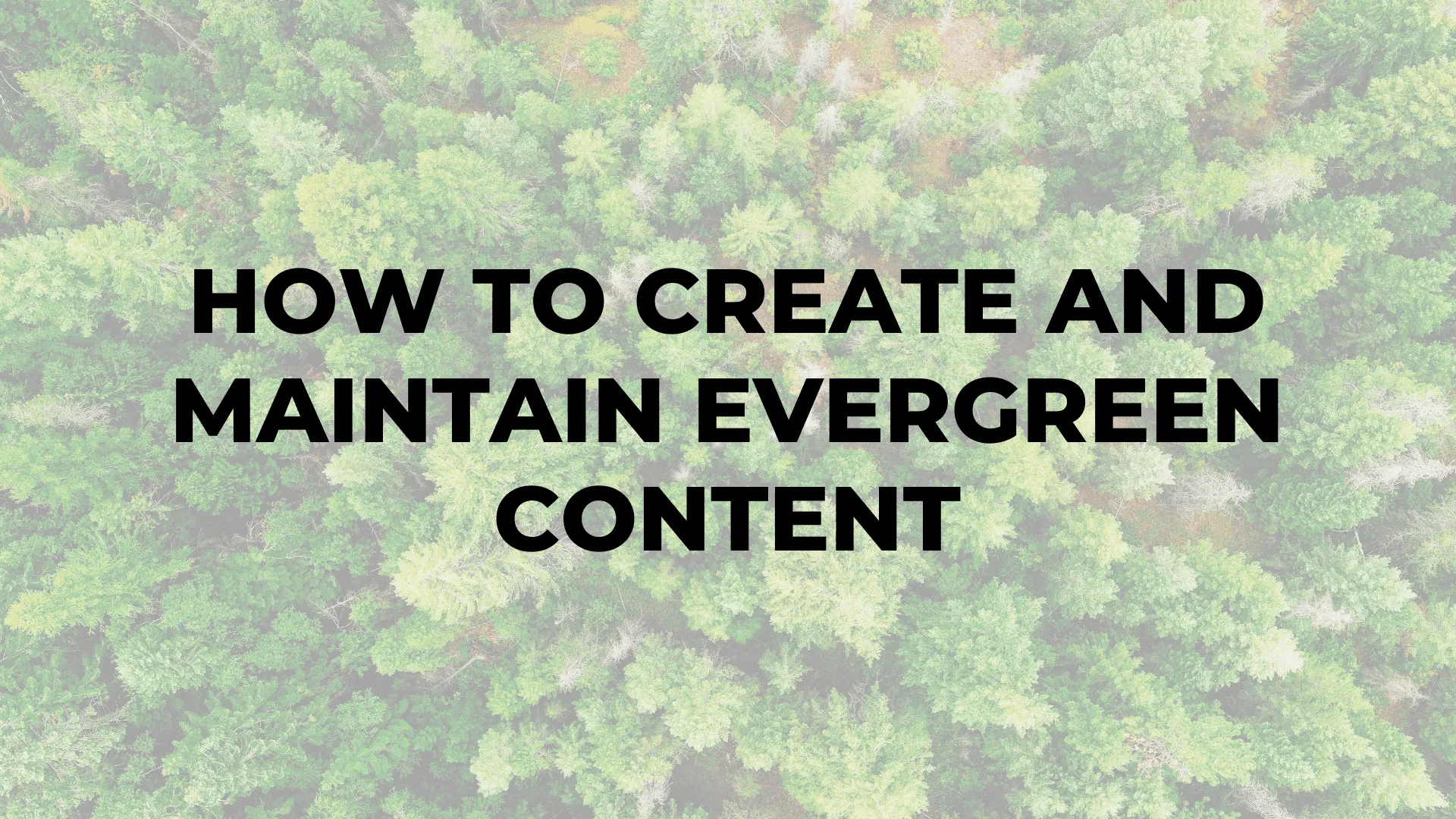How to Create and Maintain Evergreen Content|How to Create and Maintain Evergreen Content|How to Create and Maintain Evergreen Content|How to Create and Maintain Evergreen Content