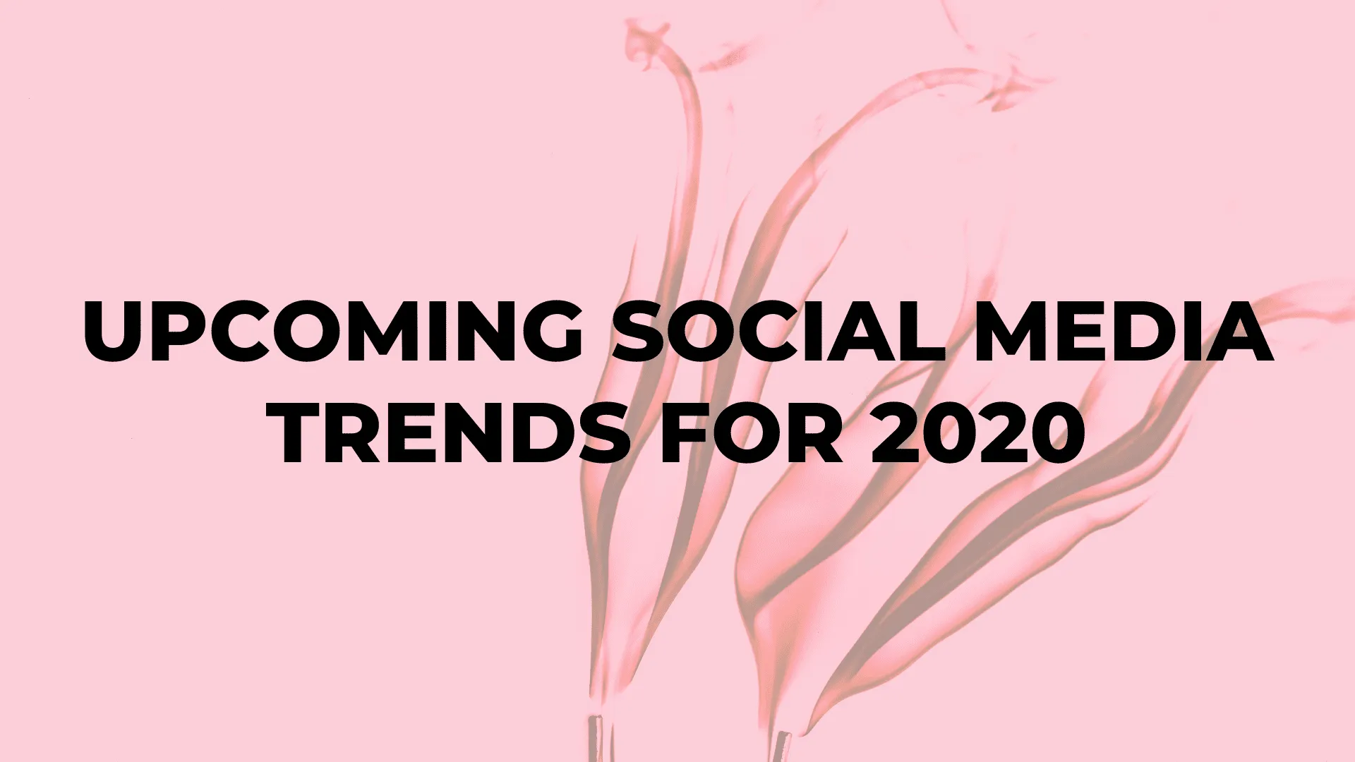Upcoming Social Media Trends for 2020|Upcoming Social Media Trends for 2020|Upcoming Social Media Trends for 2020