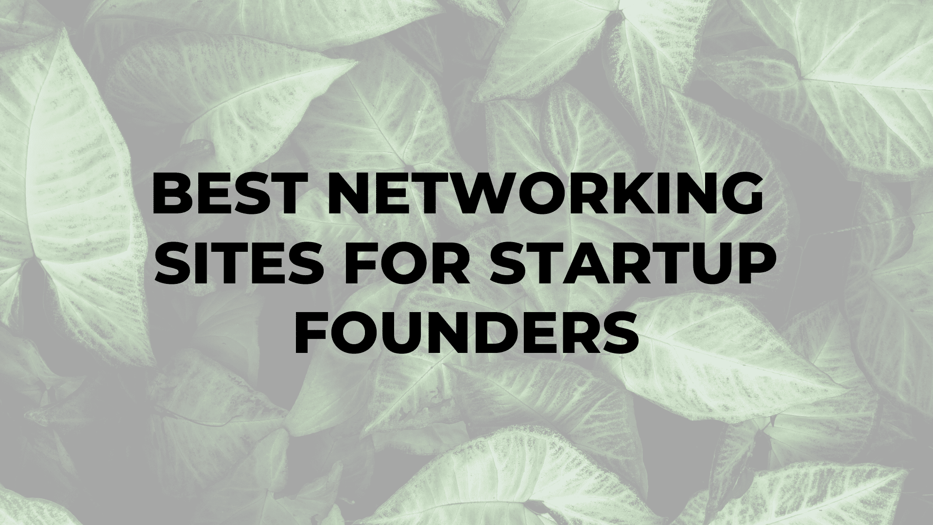 Best Networking Sites for Startup Founders|Best Networking Sites for Startup Founders|Best Networking Sites for Startup Founders|Best Networking Sites for Startup Founders