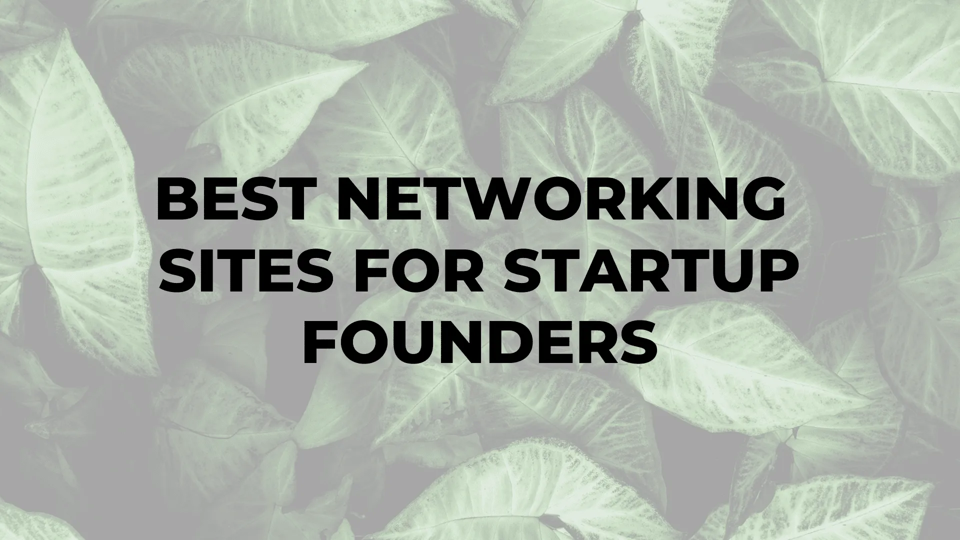 Best Networking Sites for Startup Founders|Best Networking Sites for Startup Founders|Best Networking Sites for Startup Founders|Best Networking Sites for Startup Founders