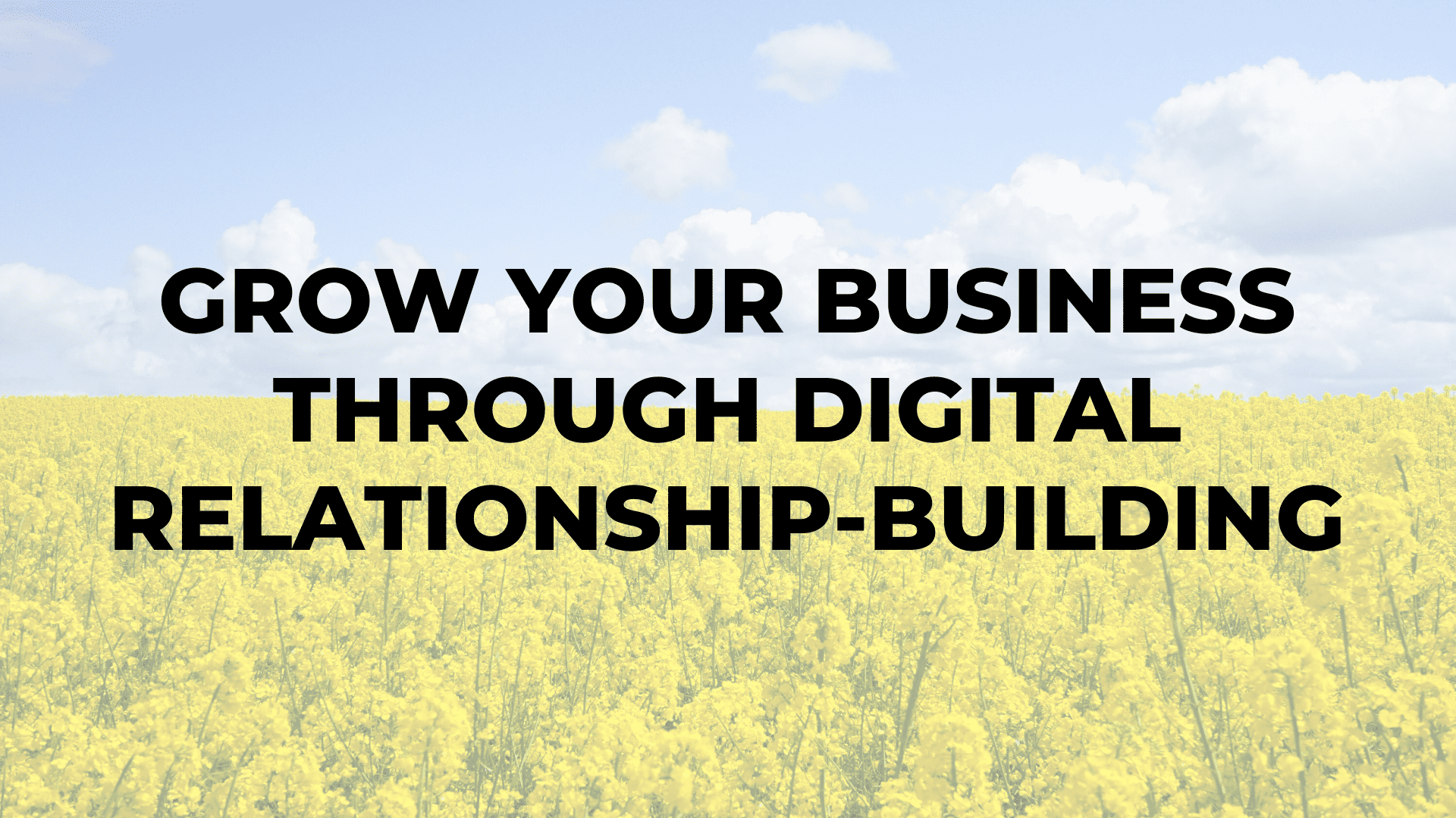 Grow Your Business Through Digital Relationship-Building|Grow Your Business Through Digital Relationship-Building|Grow Your Business Through Digital Relationship-Building|Grow Your Business Through Digital Relationship-Building