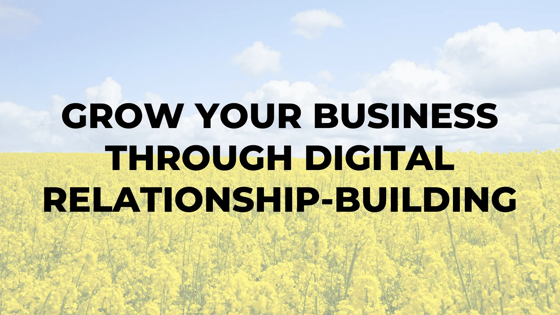 Grow Your Business Through Digital Relationship-Building|Grow Your Business Through Digital Relationship-Building|Grow Your Business Through Digital Relationship-Building|Grow Your Business Through Digital Relationship-Building