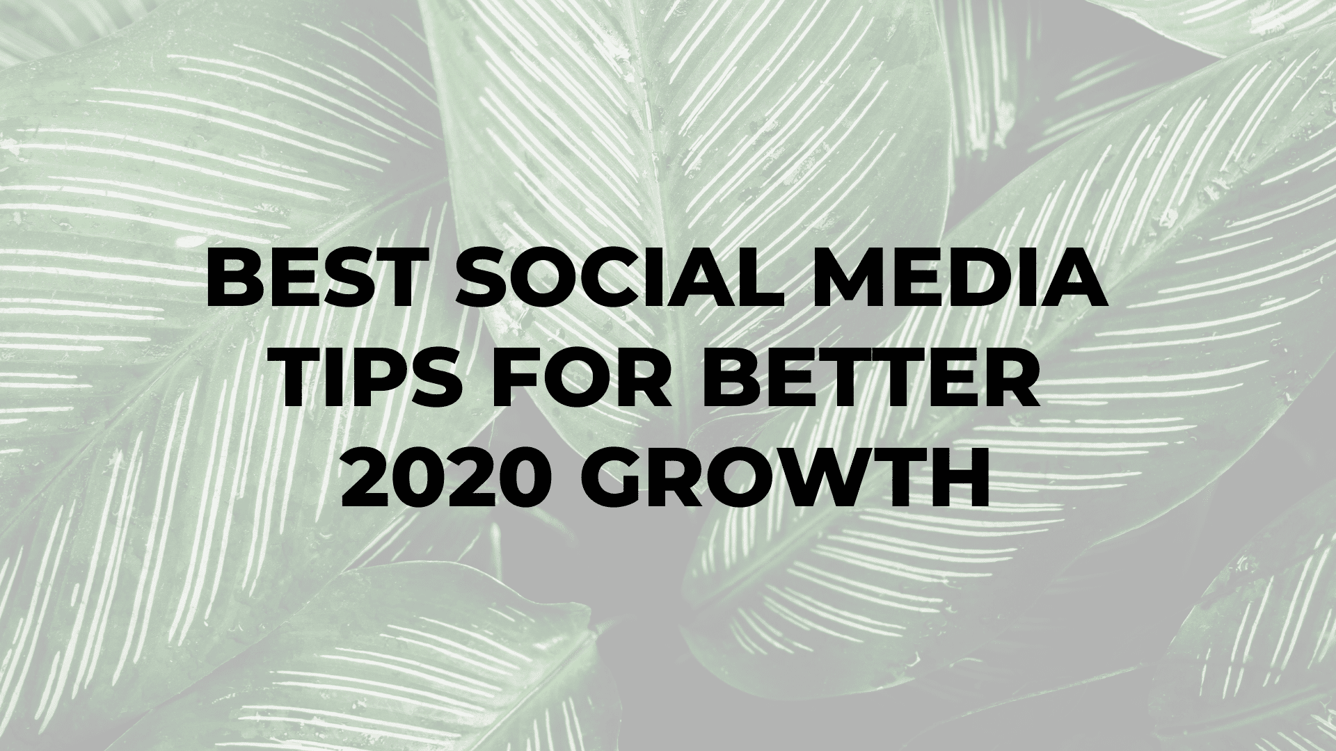 Best Social Media Tips for Better 2020 Growth
