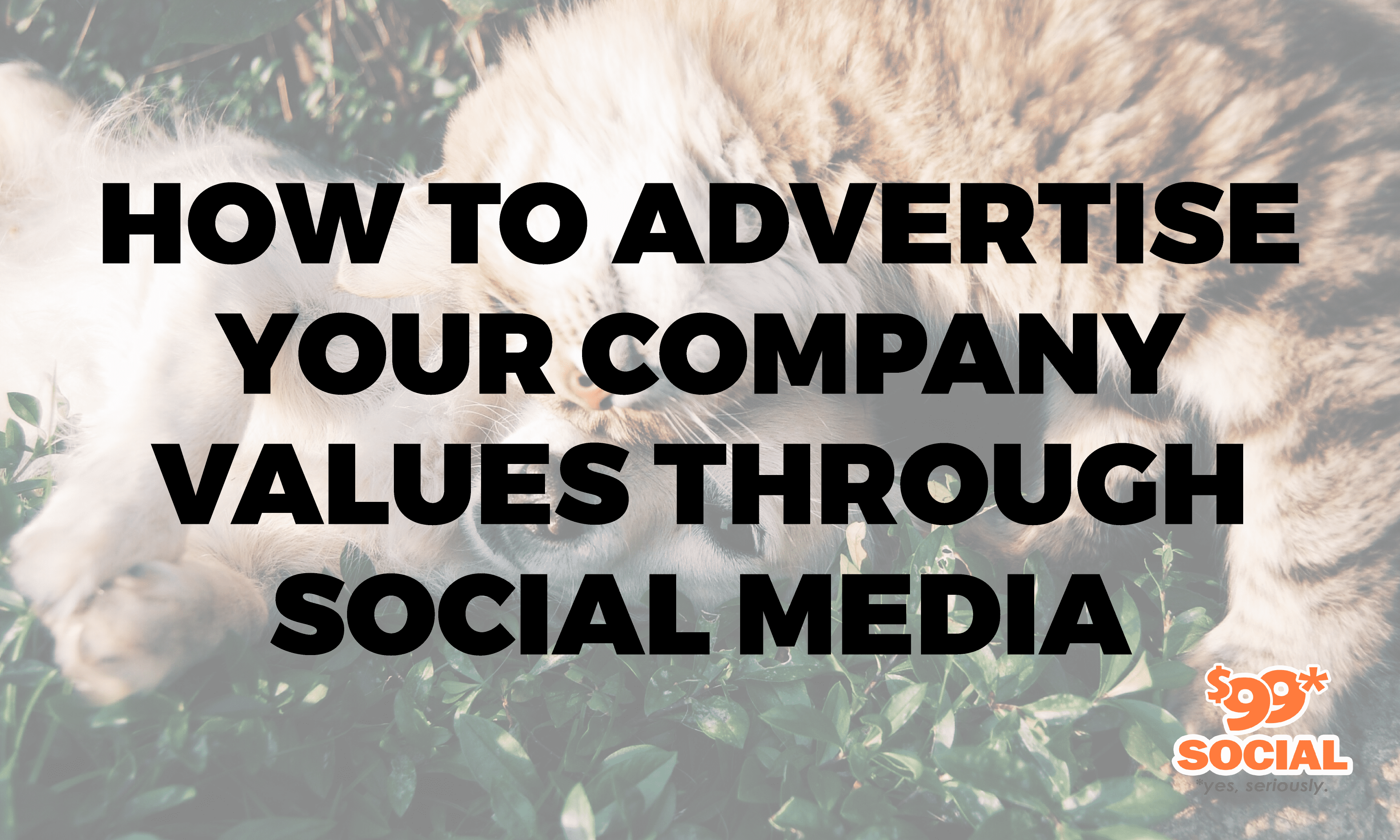 How to Advertise Your Company Values Through Social Media