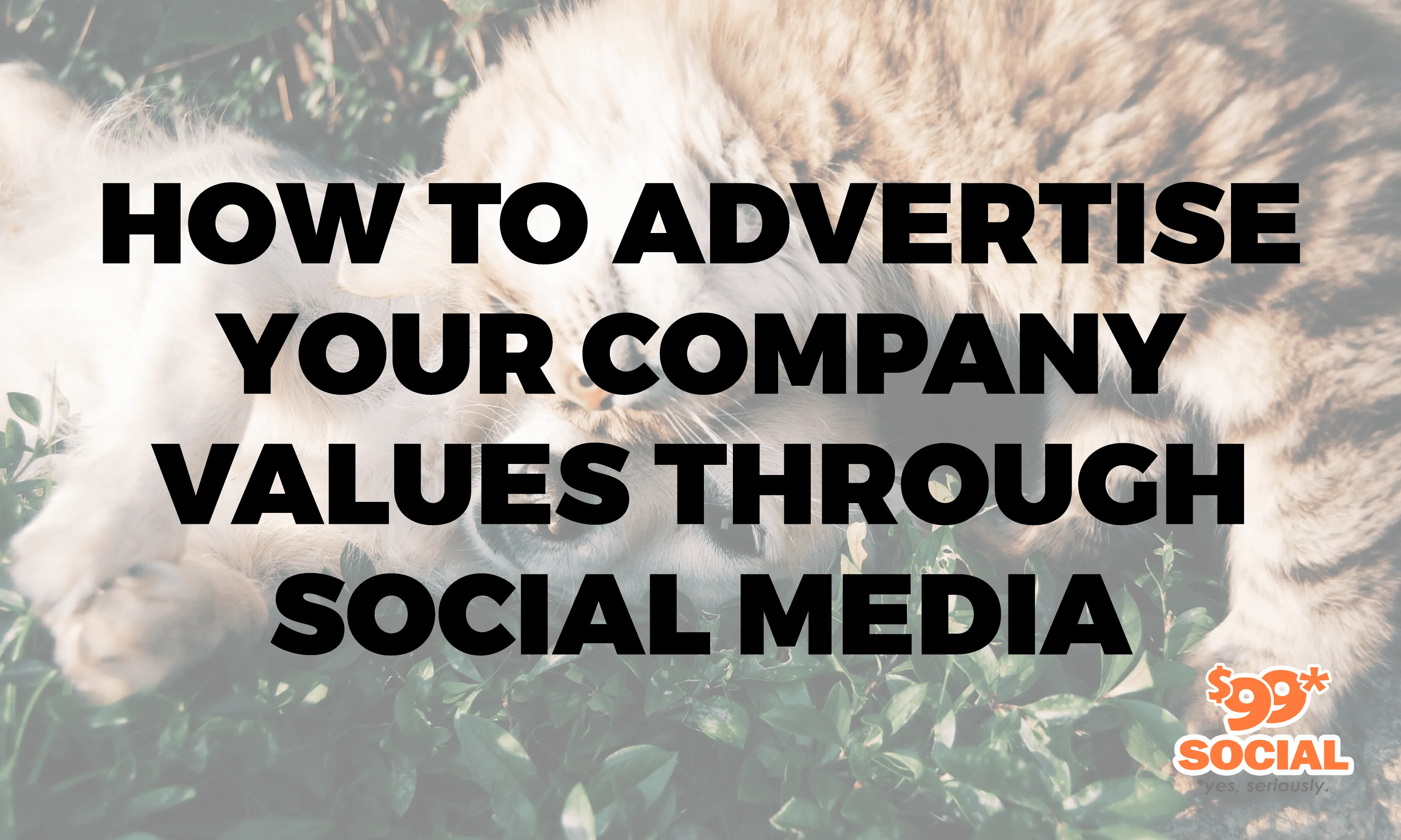 How to Advertise Your Company Values Through Social Media|How to Advertise Your Company Values Through Social Media|How to Advertise Your Company Values Through Social Media