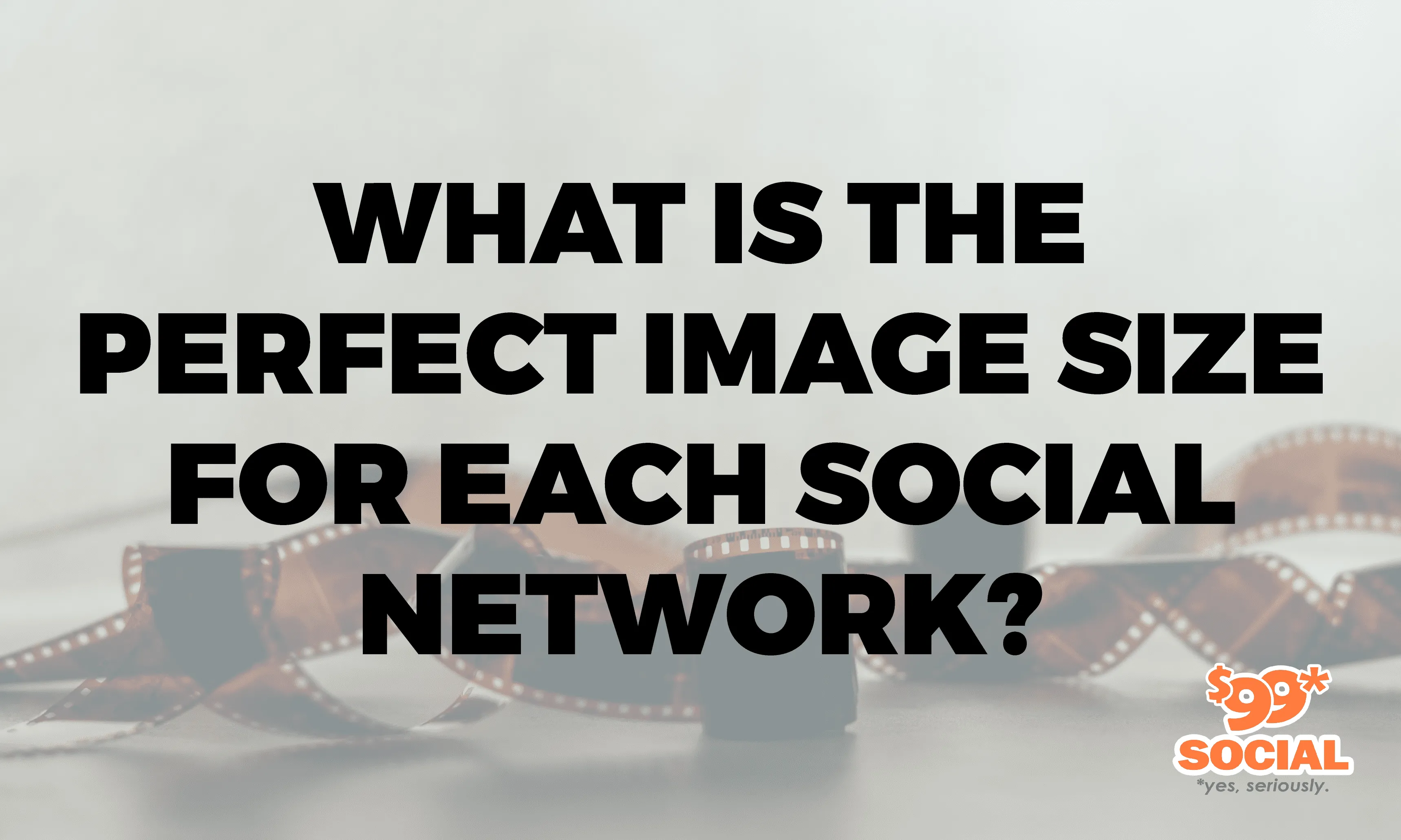 What Is The Perfect Image Size For Each Social Network?|What Is The Perfect Image Size For Each Social Network?|What Is The Perfect Image Size For Each Social Network?|What Is The Perfect Image Size For Each Social Network?