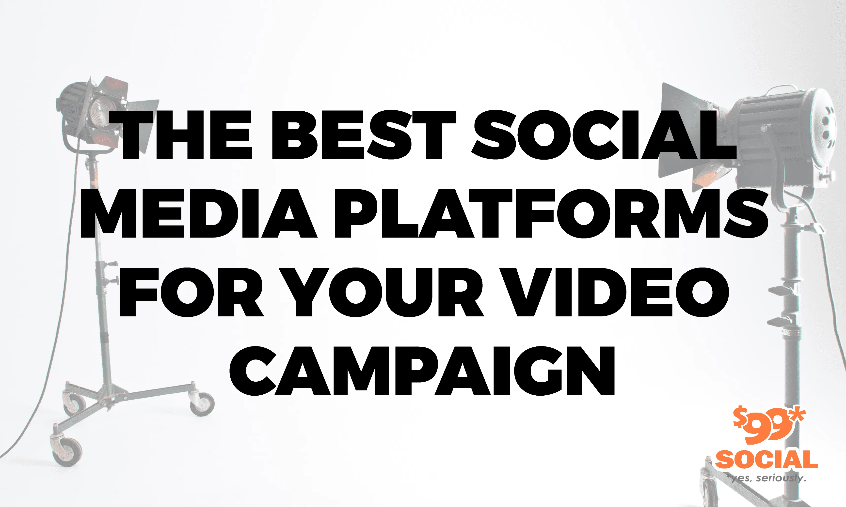 The Best Social Media Platforms For Your Video Campaign|The Best Social Media Platforms For Your Video Campaign|The Best Social Media Platforms For Your Video Campaign