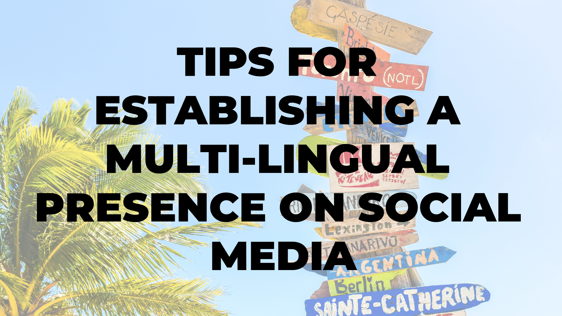 Tips for Establishing a Multi-lingual Presence on Social Media I $99 SOCIAL|Tips for Establishing a Multi-lingual Presence on Social Media I $99 SOCIAL|Tips for Establishing a Multi-lingual Presence on Social Media I $99 SOCIAL|Tips for Establishing a Multi-lingual Presence on Social Media I $99 SOCIAL|Tips for Establishing a Multi-lingual Presence on Social Media I $99 SOCIAL