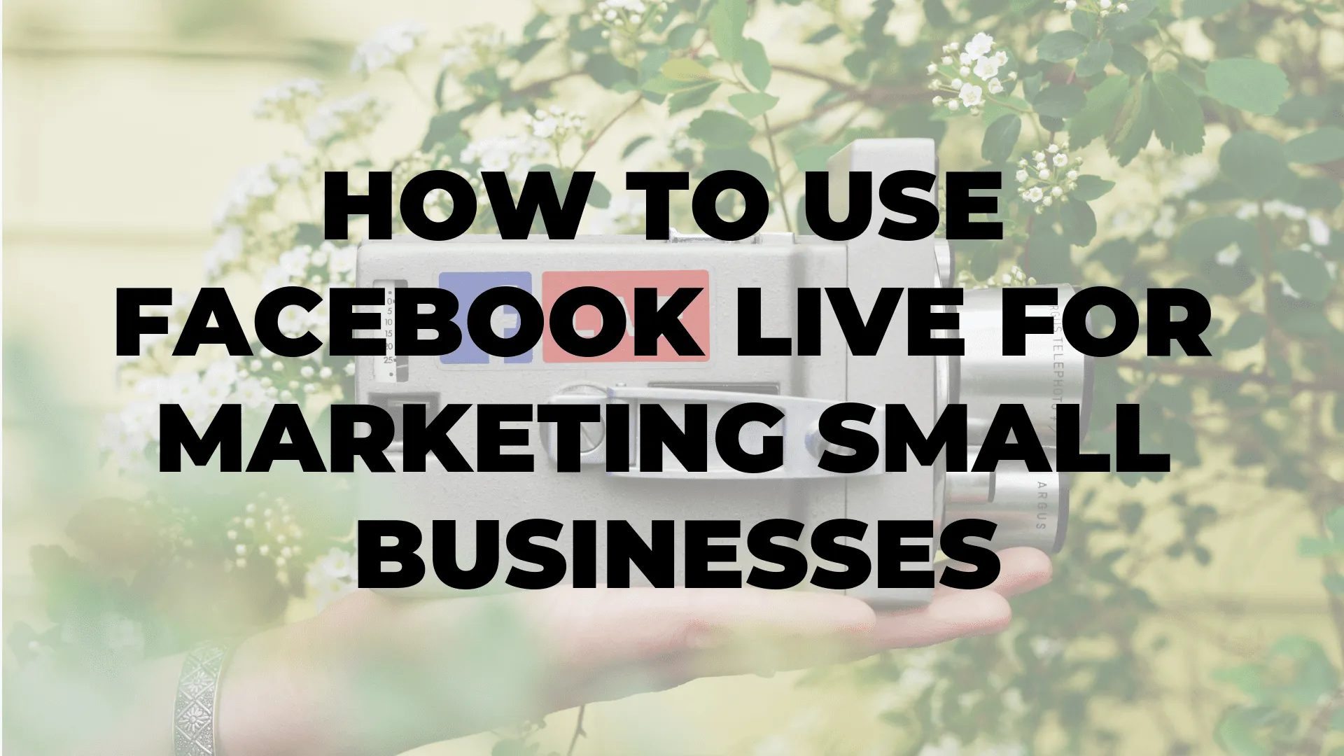 How to use Facebook Live for Marketing Small Businesses|How to use Facebook Live for Marketing Small Businesses|How to use Facebook Live for Marketing Small Businesses|How to use Facebook Live for Marketing Small Businesses