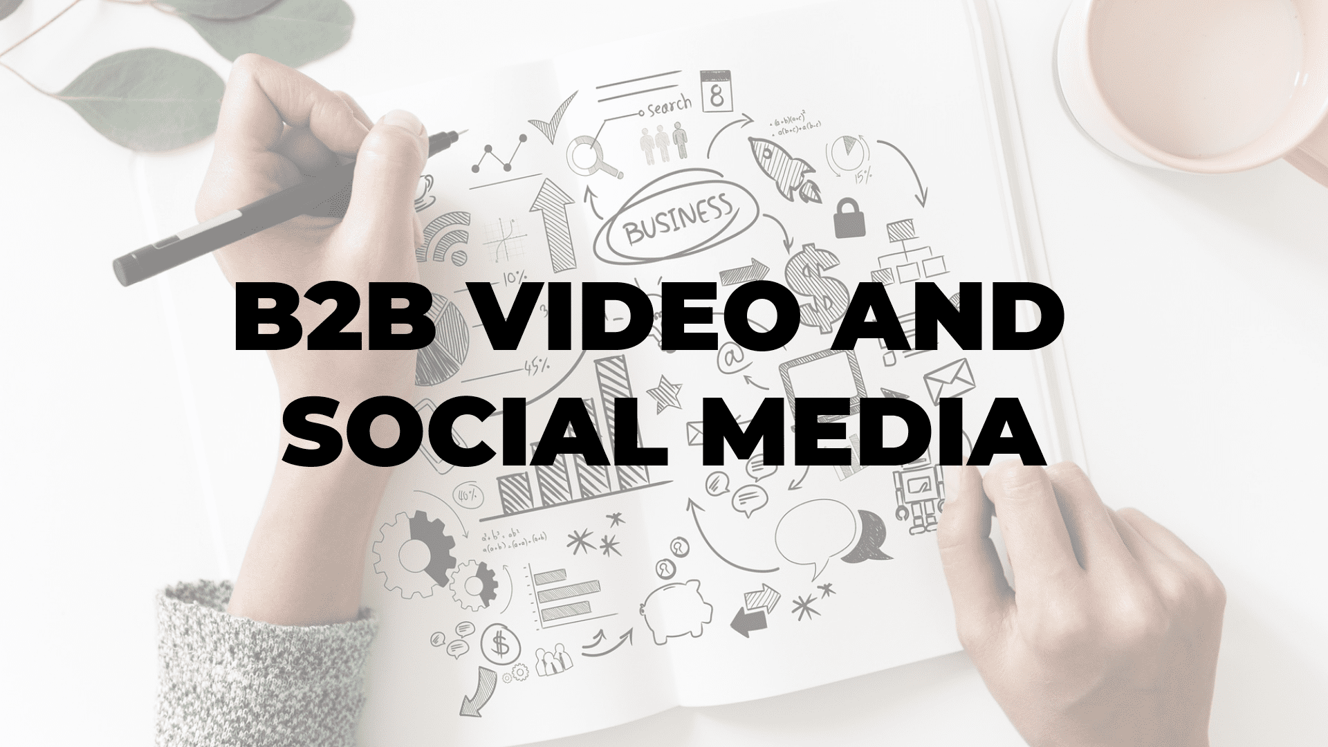B2B Video and Social Media I $99 SOCIAL