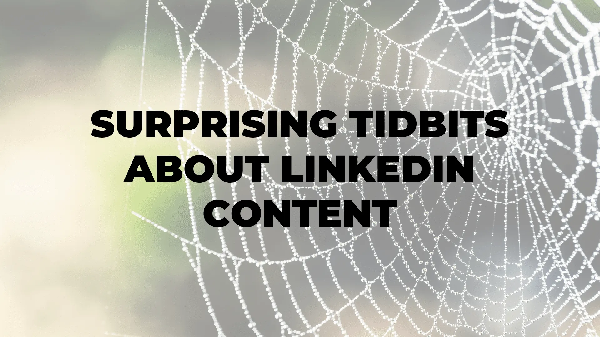 Surprising Tidbits About LinkedIn Content|Surprising Tidbits About LinkedIn Content|Surprising Tidbits About LinkedIn Content
