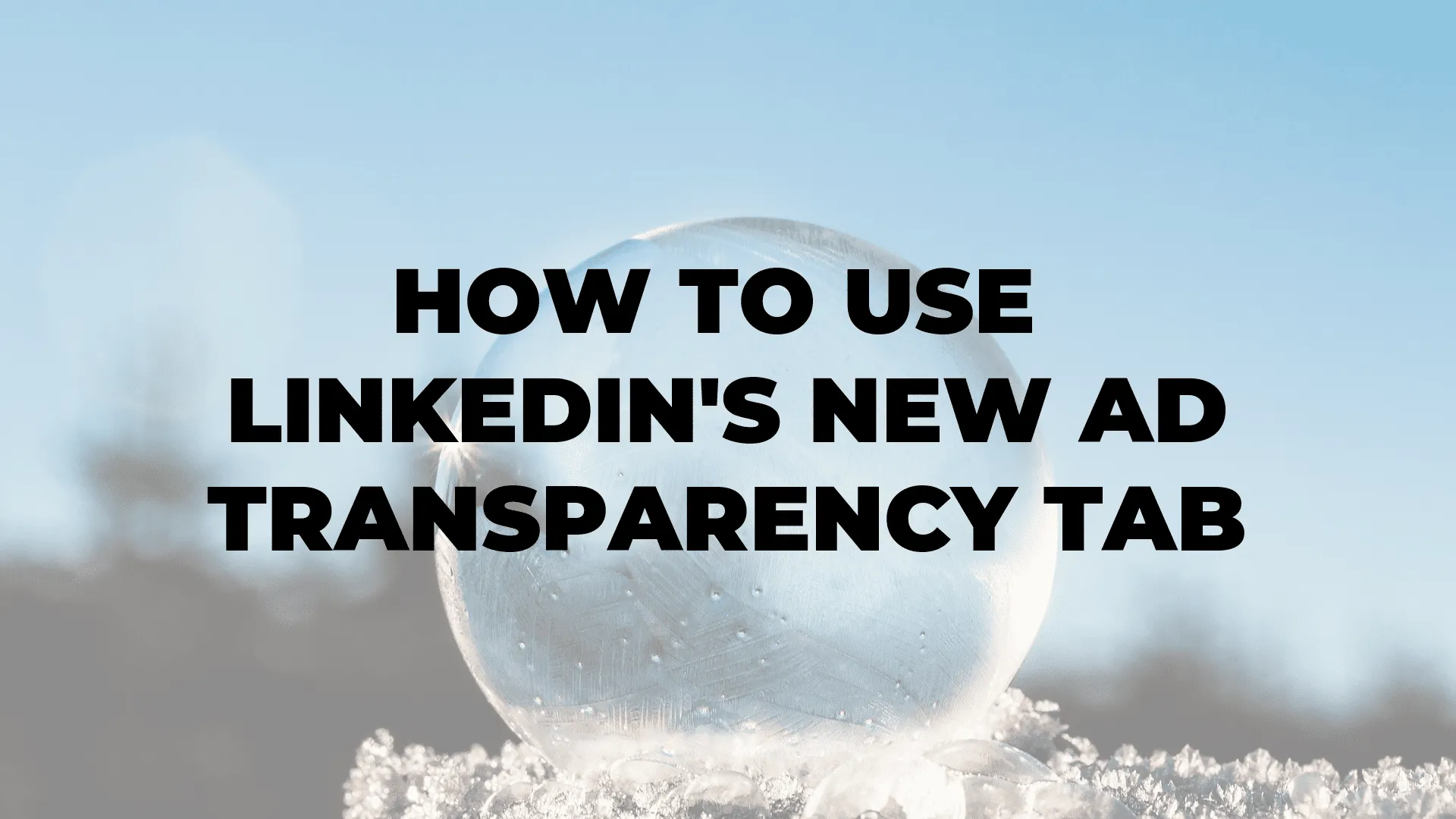 How to Use LinkedIn's New Ad Transparency Tab|How to Use LinkedIn's New Ad Transparency Tab|How to Use LinkedIn's New Ad Transparency Tab|How to Use LinkedIn's New Ad Transparency Tab