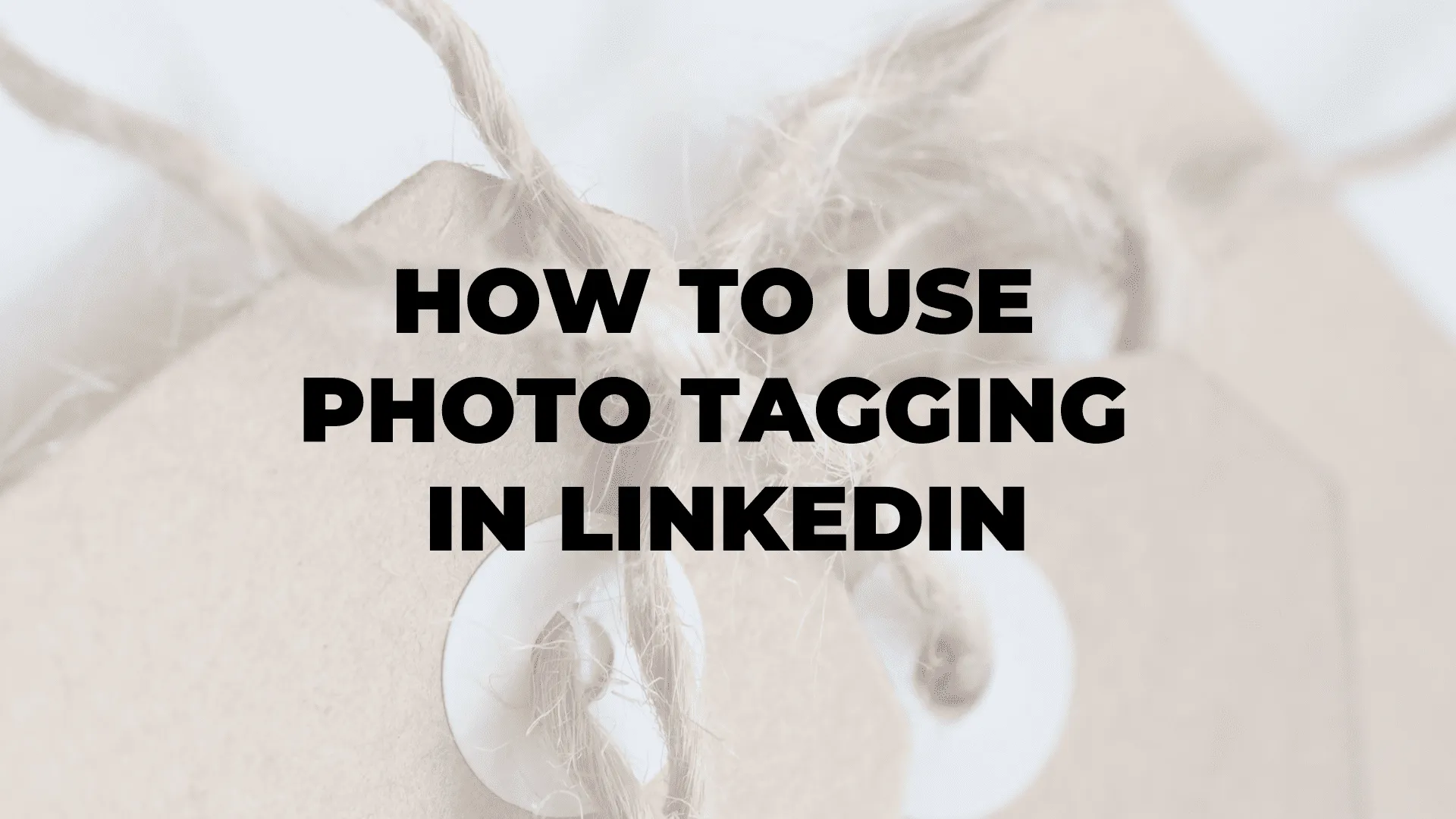 How to Use Photo Tagging in LinkedIn|How to Use Photo Tagging in LinkedIn|How to Use Photo Tagging in LinkedIn|How to Use Photo Tagging in LinkedIn