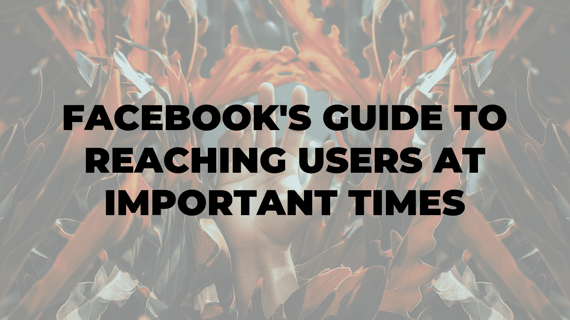 Facebook's Guide to Reaching Users at Important Times